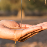 M03-16_Article_SEO_huile_argan_bienfaits_desktop